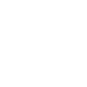Vibrant. logo